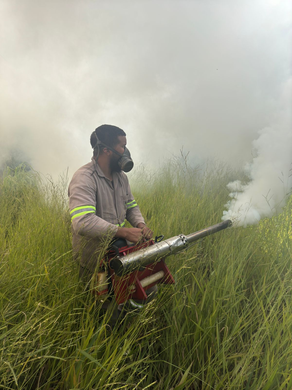 Imagem do serviço Fumacê contra Mosquitos, Moscas e Insetos Alados